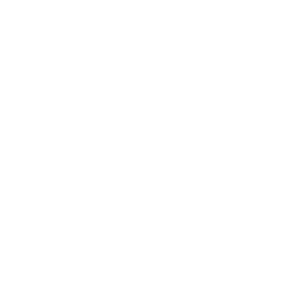 Service Icon