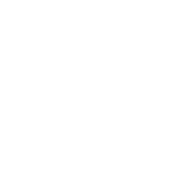 Service Icon